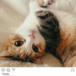 @ronny.darmawan7 - Instagram