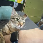 Ronald Knipple Jr. - @ronnydean - Instagram