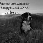Ronny Engel - Facebook