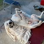 Ronny Evans - @ronny.evans.90 - Instagram