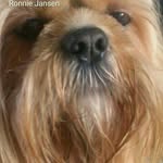 Ronnie Jansen - @ronnie.jansen - Instagram