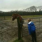 Ronny Jansen - @ronniejansen72 - Instagram