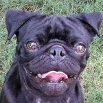Ronny Moore - @mooreronny - Instagram
