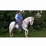 Ronny Rivera Aguilar - @ronnyriveraaguilar - Instagram