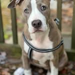 Ronny Rogers - @ronnyrogers47 - Instagram