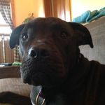 Ronny And Wade - @ronnyandwade - Instagram