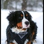 ronny walker - @ronnywalker605 - Instagram