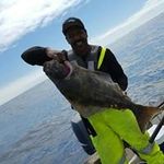 Ronnie Webb - @ronwebb88 - Instagram