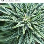 Ronnie Webb - @ronniewebb - Instagram