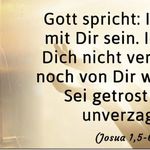Ronny Weiß - @weiss0411egal - Instagram