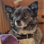 Ronny Weiß - @ronnyweiss74 - Instagram