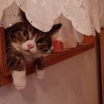 Ronny Weiß - @ronnyweiss9 - Instagram
