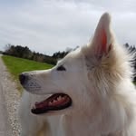 Ronny White Falcon - @ronnywhitefalcon - Instagram