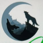 Ronny Wolf - @physio_wolf - Instagram