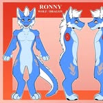 Ronny_Wolfdragon - @ronny_wolfdragon - Instagram