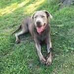Ronon Dex - @ronondex_17 - Instagram