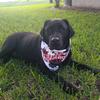 ronondextheenglishlab - @ronondextheenglishlab - TikTok