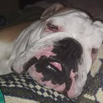 Rony Campos - @ronycampos9 - Instagram