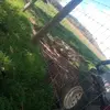 Rony erazo - @lisahensley06 - TikTok