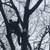 ronymena128 - @ronymena128 - TikTok