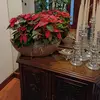Rony Molina - @rony.molina77 - TikTok