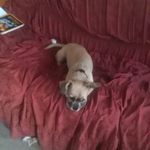 Rony Delcy Hurtado Osorio - @ronydelcy - Instagram