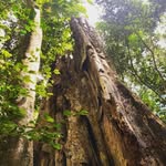 rooseveltcastillo - @rooseveltcastillo93 - Instagram