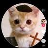 harveyroosevelt7 - @harveyroosevelt7 - TikTok