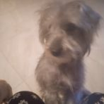 Roosevelt Herrera - Facebook