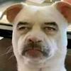 Roosevelt M - @roosevelt1819 - TikTok