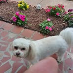 Roosevelt Miller - Facebook