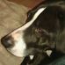 Randall Harps - Facebook