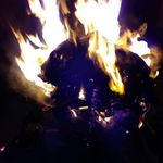 roosevelt rose - @rooseveltrose4 - Instagram
