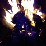 Roosevelt Rose - @roosevelt.rose.395 - Instagram