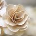 The Roosevelt Rose - Facebook
