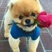 Roosevelt Shaw - Facebook