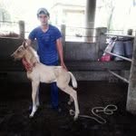 vidal roque cano - @vidalcanoo - Instagram