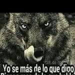Roque Fernandez - @roquefernandez421 - Instagram