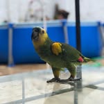 Roque Rios - @roque.rios19 - Instagram
