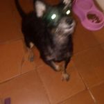 Roque Valdez - @roque.valdez.1800 - Instagram