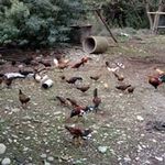José Roque Yáñez Zapata - @joseroqueyanezzapata - Instagram
