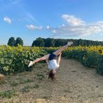 Rory Allan - @rory.gymnast23 - Instagram