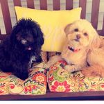 Rory & Bailey - @rorylovesbailey - Instagram