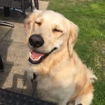 Rory Bailey - @rorykins_ - Instagram