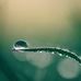 Rory Bates - Facebook