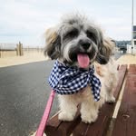 RORY Belle - @rorybelle_thecoton - Instagram