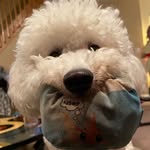 Rory Benjamin Smith - @scarlet_king98 - Instagram