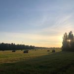 OWEN - @rorybowen.2xx - Instagram