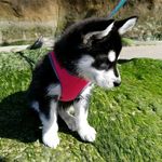 Rory Bowen - @ror6080 - Instagram