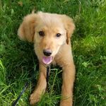 Rory Bowen - @rorybowen66 - Instagram